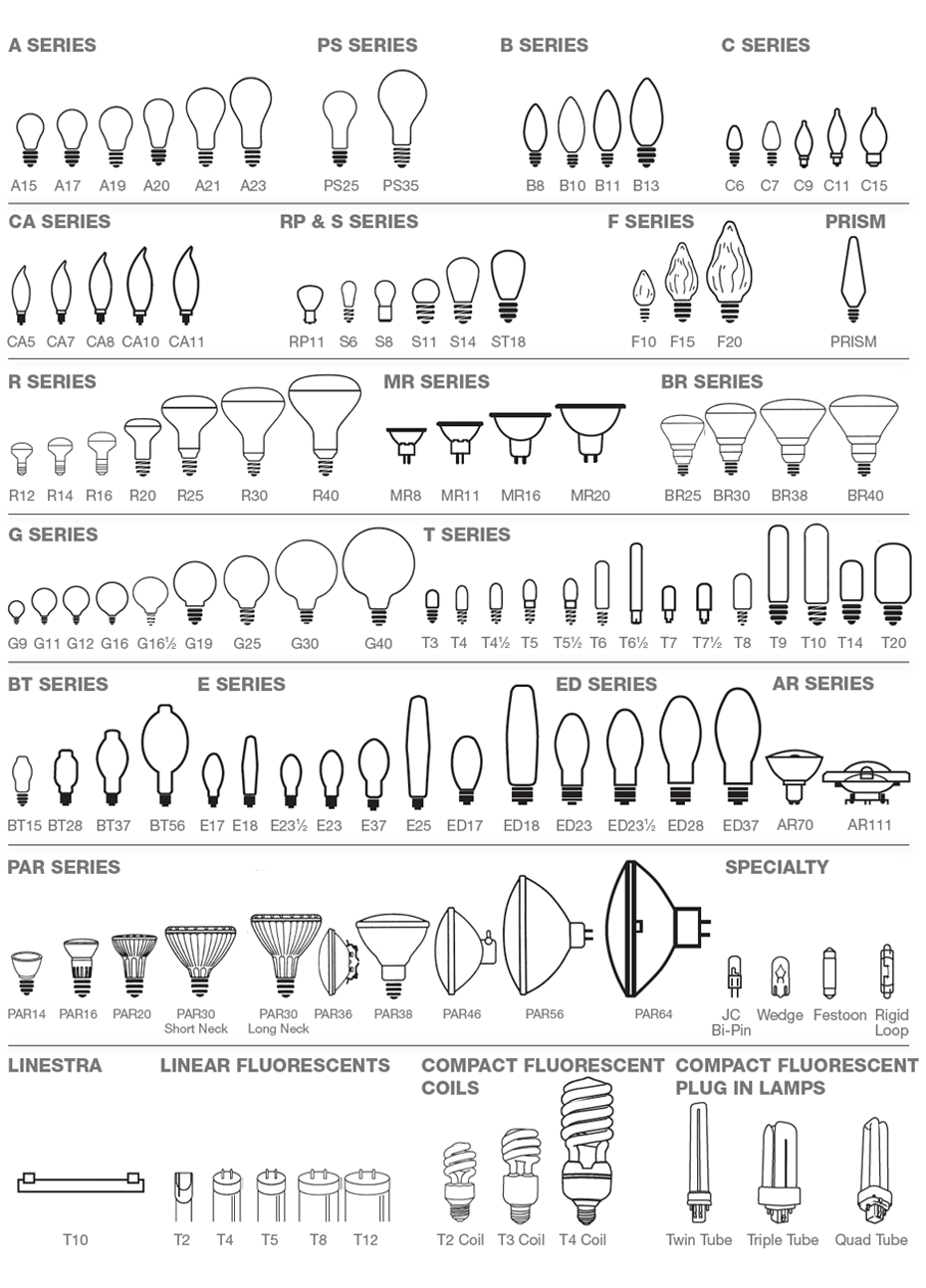 Bulb Shapes and Sizes